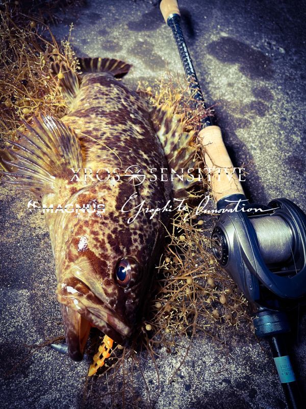 XrosSensitive XSC-71ML+ - G-TEC graphite technology