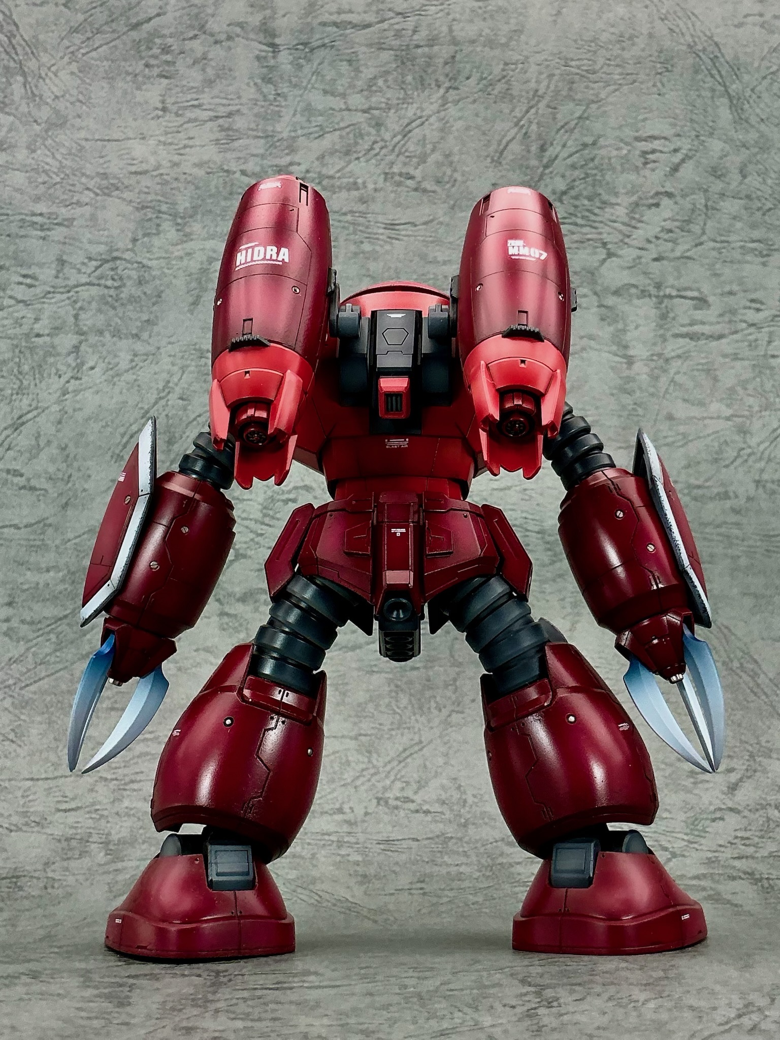 ズゴック 水陸両用仕様(SEED FREEDOM Ver.)｜241さんのガンプラ作品