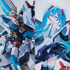 抽選販売「METAL ROBOT魂 ストライクフリーダムガンダム弐式 ［初音