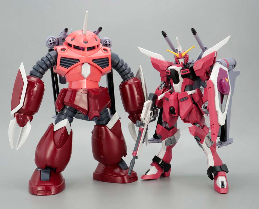 ガンプラ】HGCE 1/144 ズゴック(SEED FREEDOM Ver.) レビュー | ポッチ