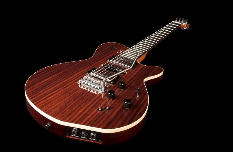 エレキギター】Godin カスタム仕様のxtSA 限定モデル“xtSA Rosewood
