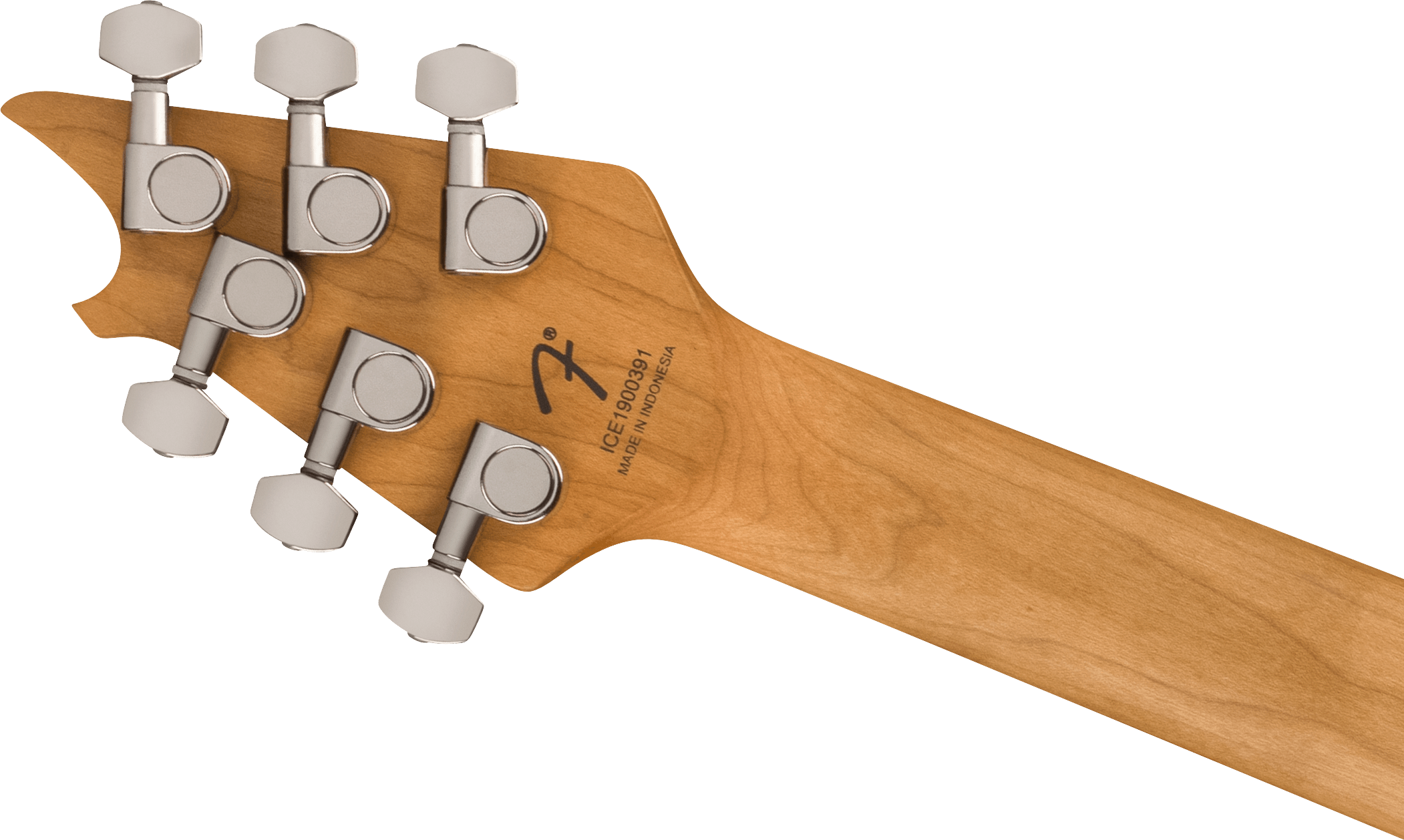 EVHからエキゾチックウッドを使用したWolfgang®が2機種登場 | ギタセレ