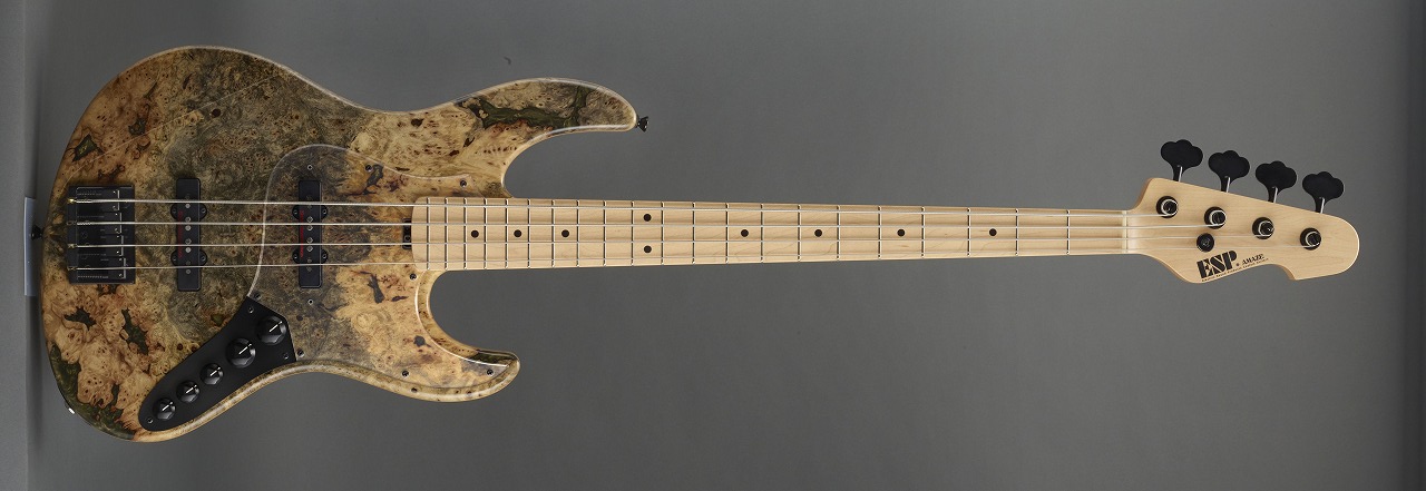 エレキベース】-ESP-人気機種「AMAZE」に”ドリフトウッドモデル