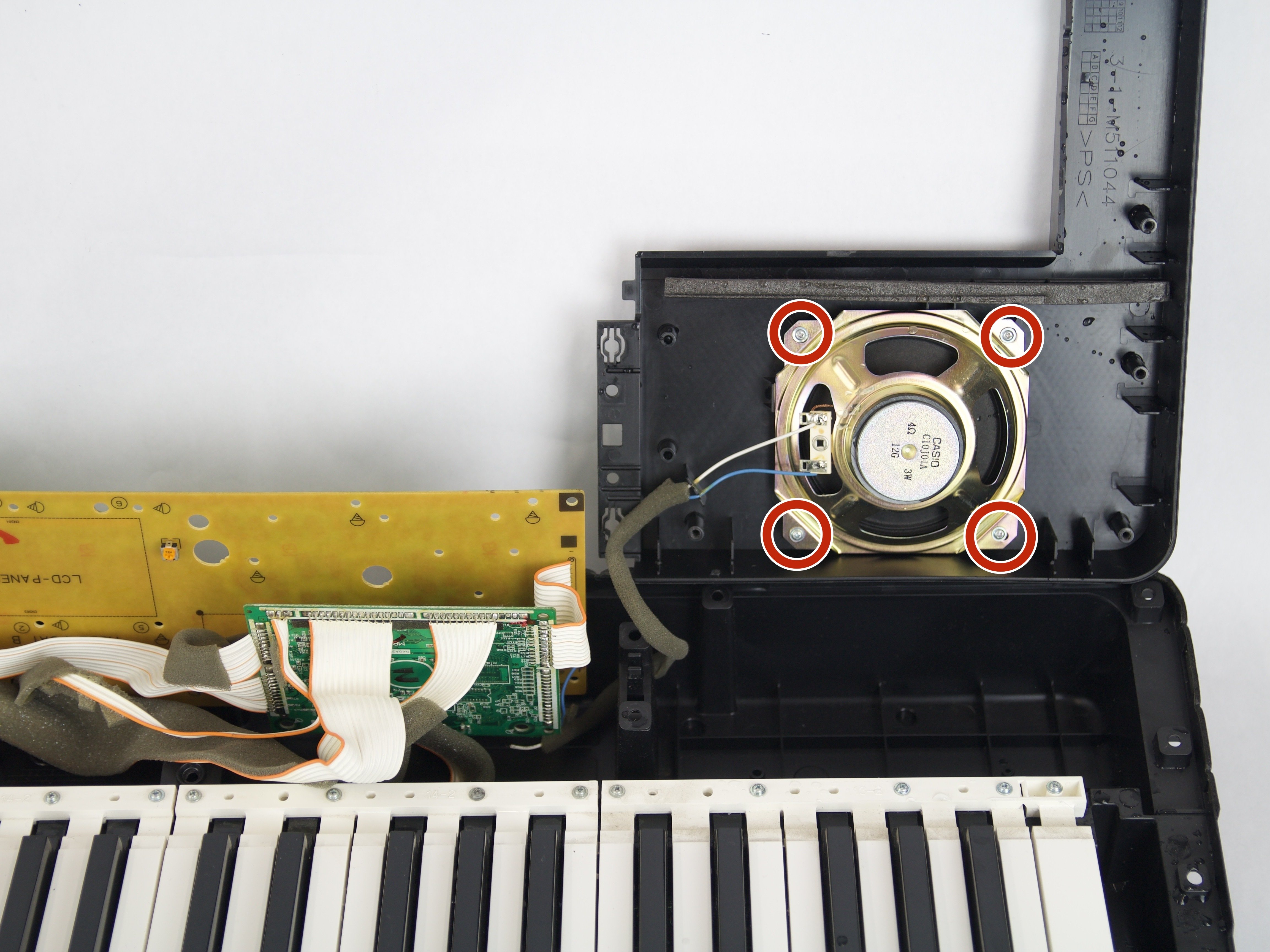 2PWQMUZStkuNpfx1.full