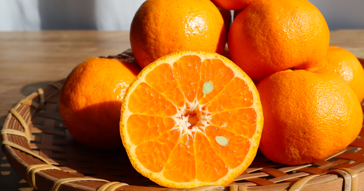 ぽんかんの魅力と美味しい食べ方をご紹介！ | かごしまぐるり よみもの