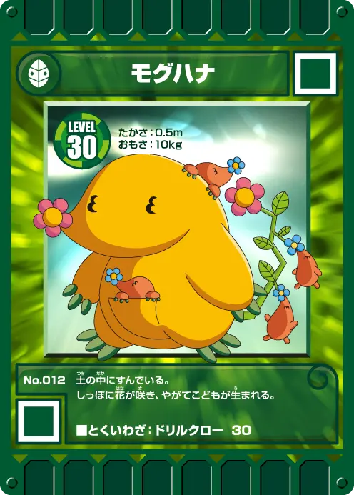 みどりカード | カード迷路 ぐるり森 大冒険