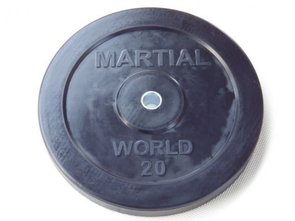 ラバープレート穴径28mm 20.0kg｜トレーニングマシンのレンタルと