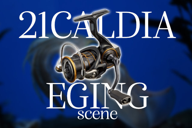 21カルディア」はエギングでも優秀？競合リールと比較してみた