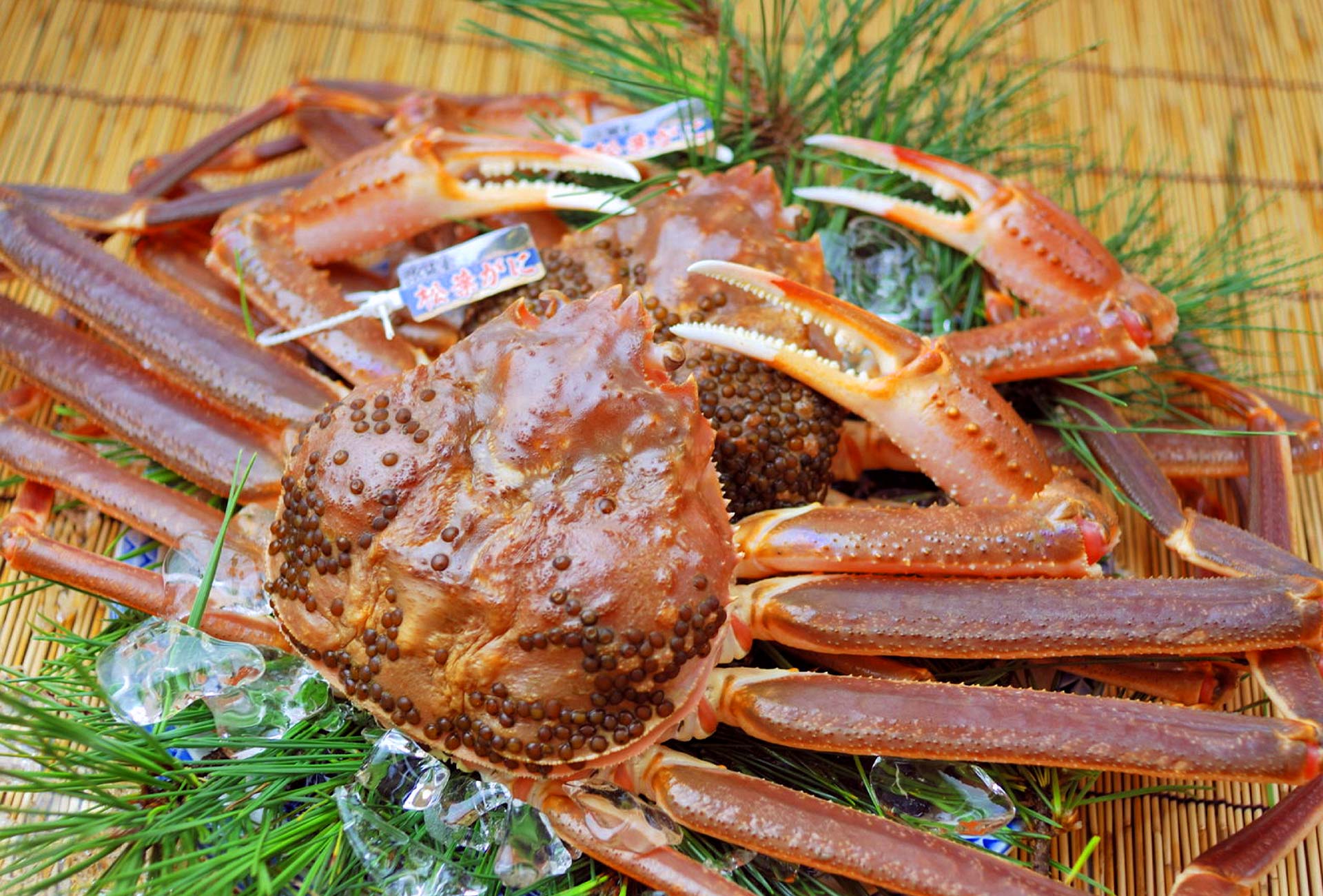 兵庫県新温泉町 浜坂漁業協同組合【公式】｜浜坂の魚 松葉がに