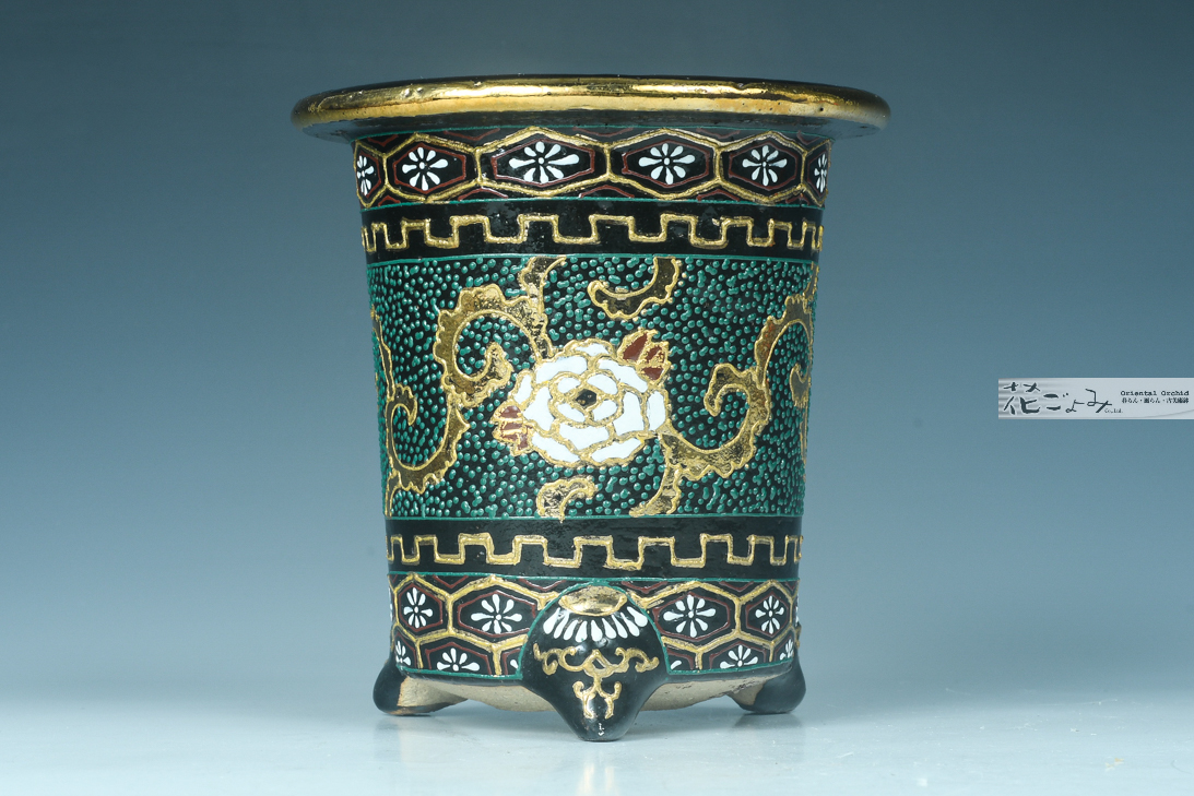 加茂黒釉寸胴古鉢写し京楽蘭鉢・華氏絵付け - 東洋蘭専門店 花ごよみ