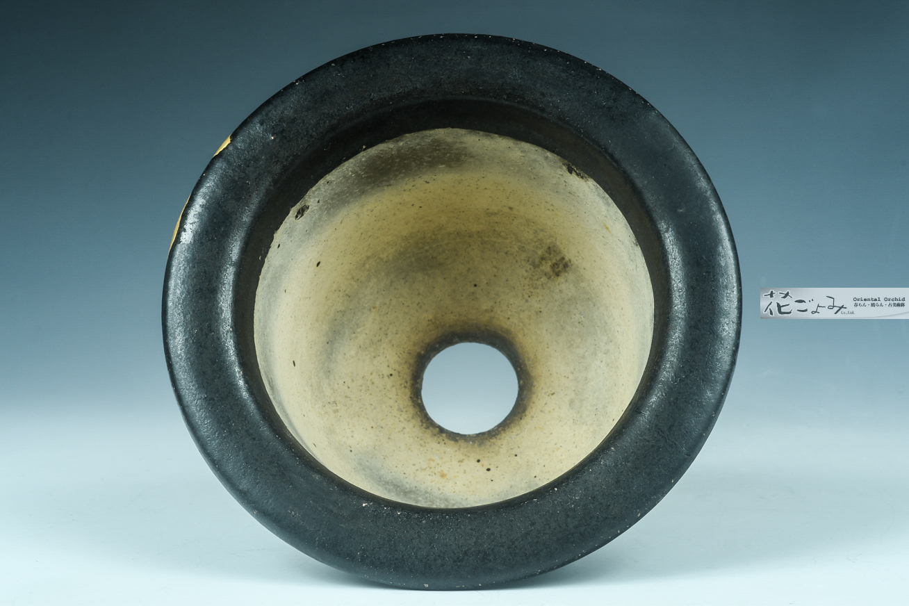 明治~大正期【金継ぎお直し・窯元不明・京樂富貴蘭古鉢】 - 東洋蘭専門