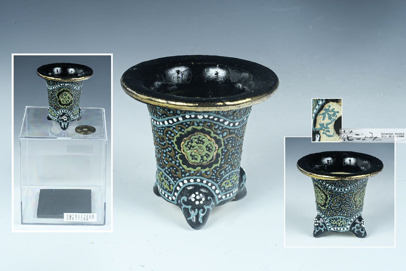 World's smallest 別製・ミニ京樂錦鉢【花唐草文万年青鉢】 - 東洋蘭