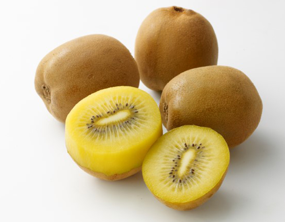 ゴールドキウイ | hanafru FRUIT Navigation | hanafru（ハナフル）