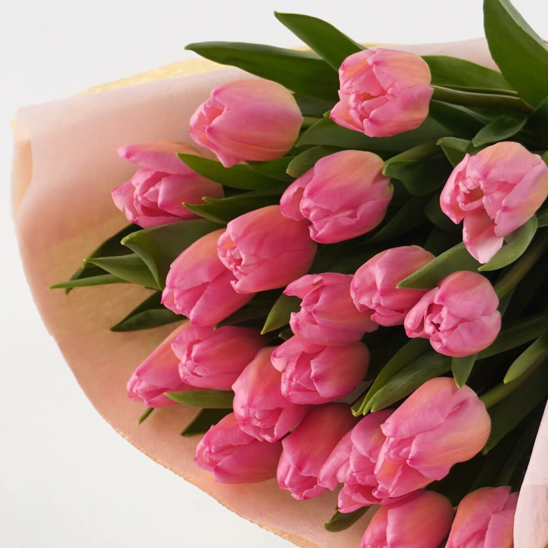お好みの本数指定】ピンクのチューリップの花束｜青山花茂本店