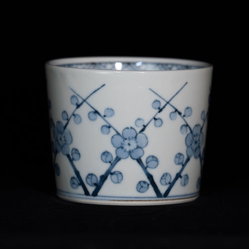 L1020886_250x250@2x.jpg?v=