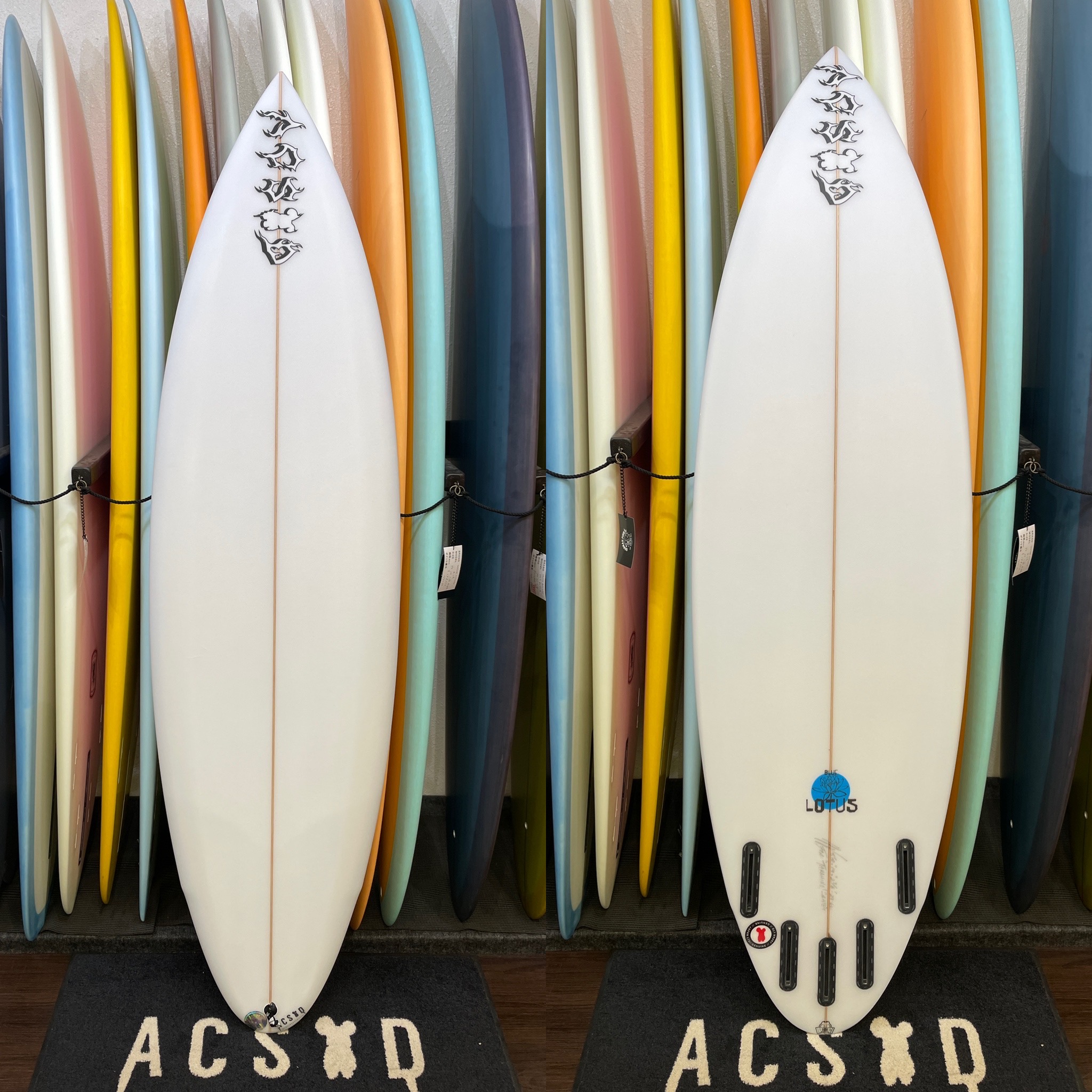 ACSOD ”BLUE LOTUS”