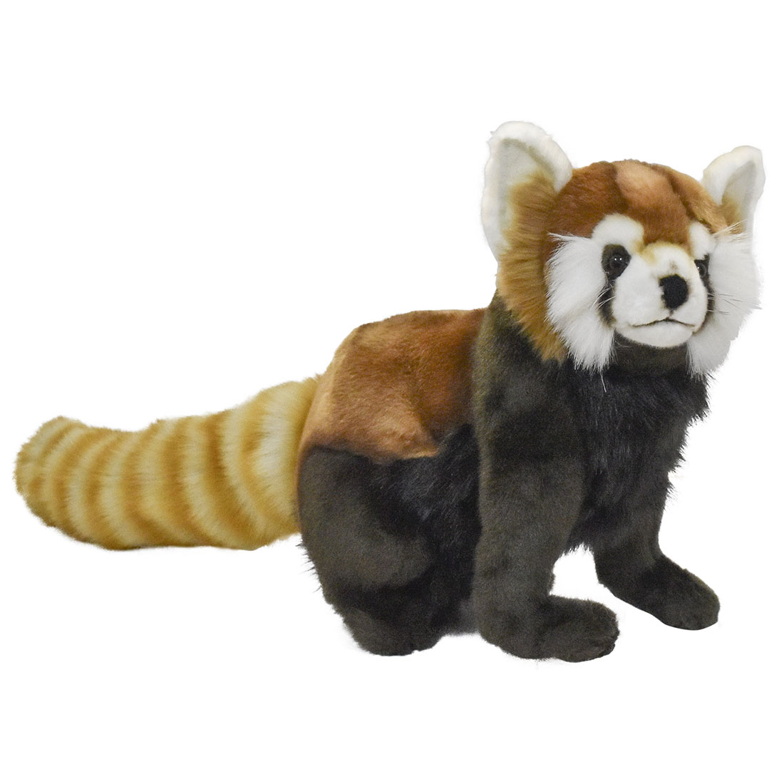 レッサーパンダ 69 | HANSA