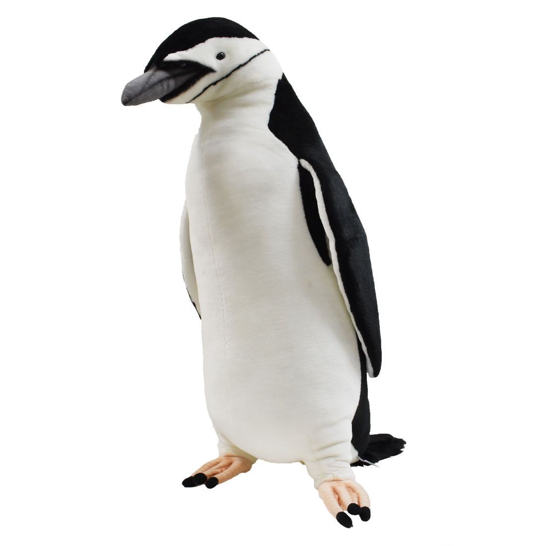 ヒゲペンギン 61 | HANSA