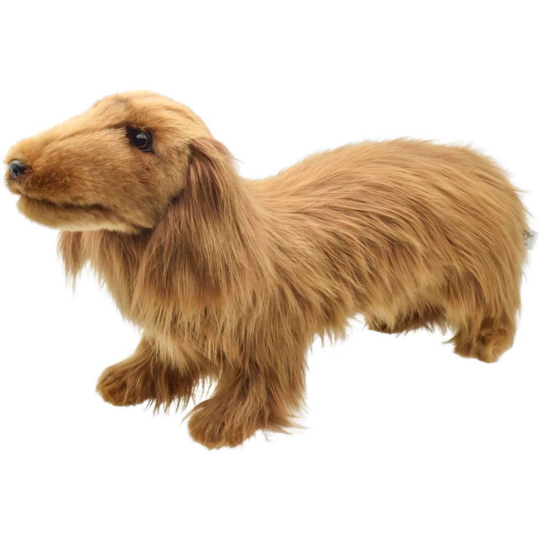 ミニチュアダックスフンド ロングヘア ブラウン 62 | HANSA