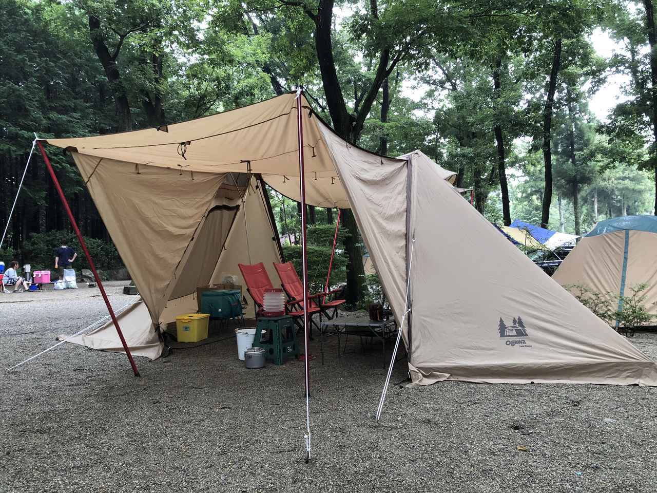 ツインクレスタレビュー】超おすすめツーポールシェルター！ ogawa