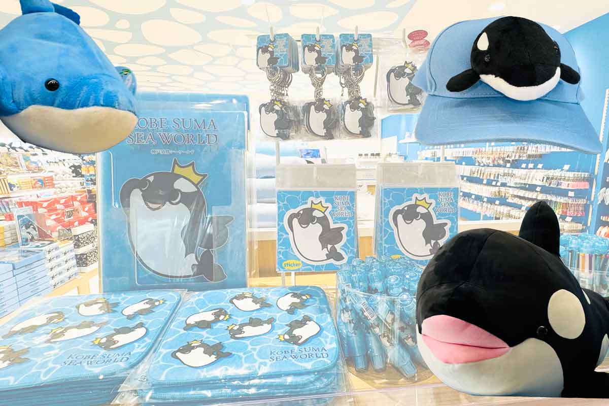 須磨シーワールドオススメグッズ【カチューシャ、オルカ帽子、イルカ