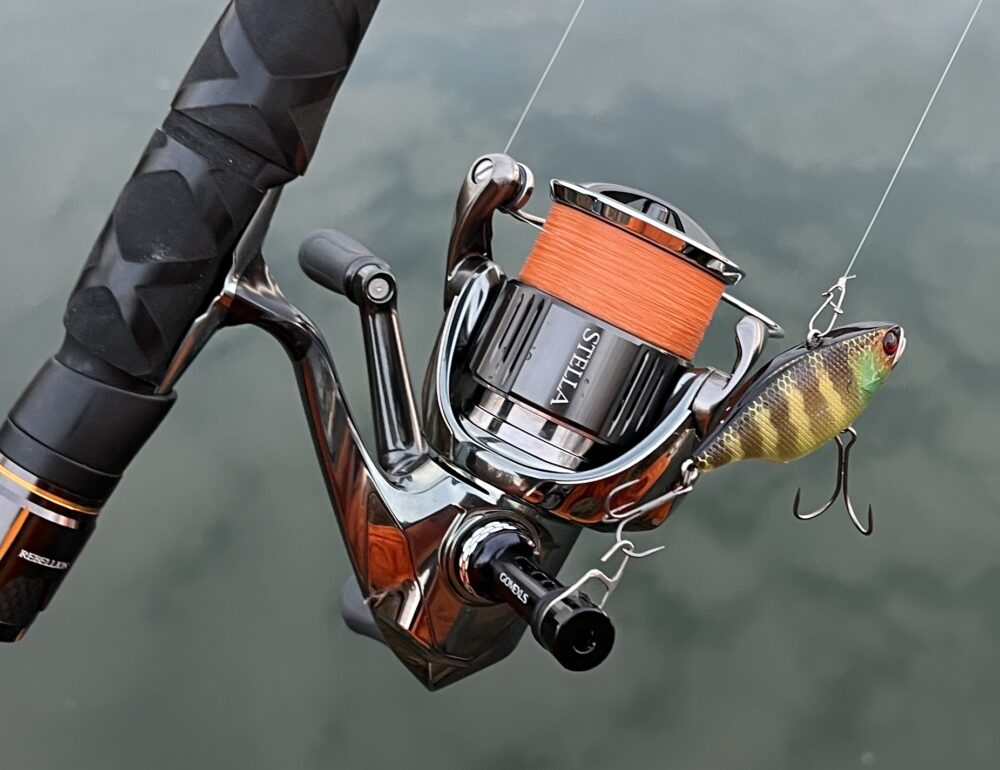 new22ステラ最高峰C3000SDH new22ステラ最高峰C3000SDH