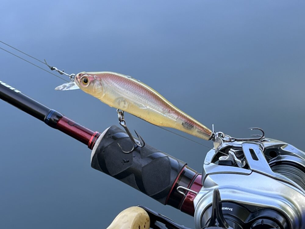 プロップダーター80 インプレ】子魚狙いのバスに有効なスイッシャー