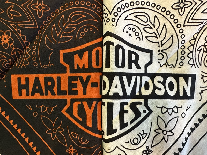 新入荷】気軽なギフトにもおすすめ！なバンダナ – HARLEY-ZONE