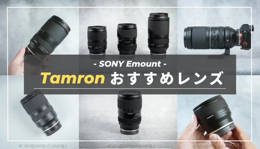 Tamron】コスパ最高！使って良かったタムロン神レンズまとめ（SONY E