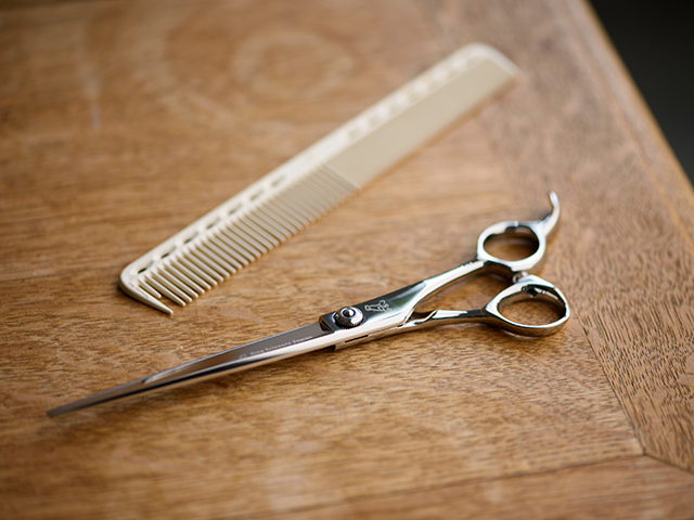 ドッグ シザーズ ジャパン ソラ(Sora)平刃ストレートシザー（straight