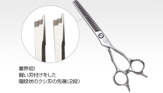 ヒカリ Nina COSMOS 715 716(ニーナコスモス・カット率15～20%/25～30