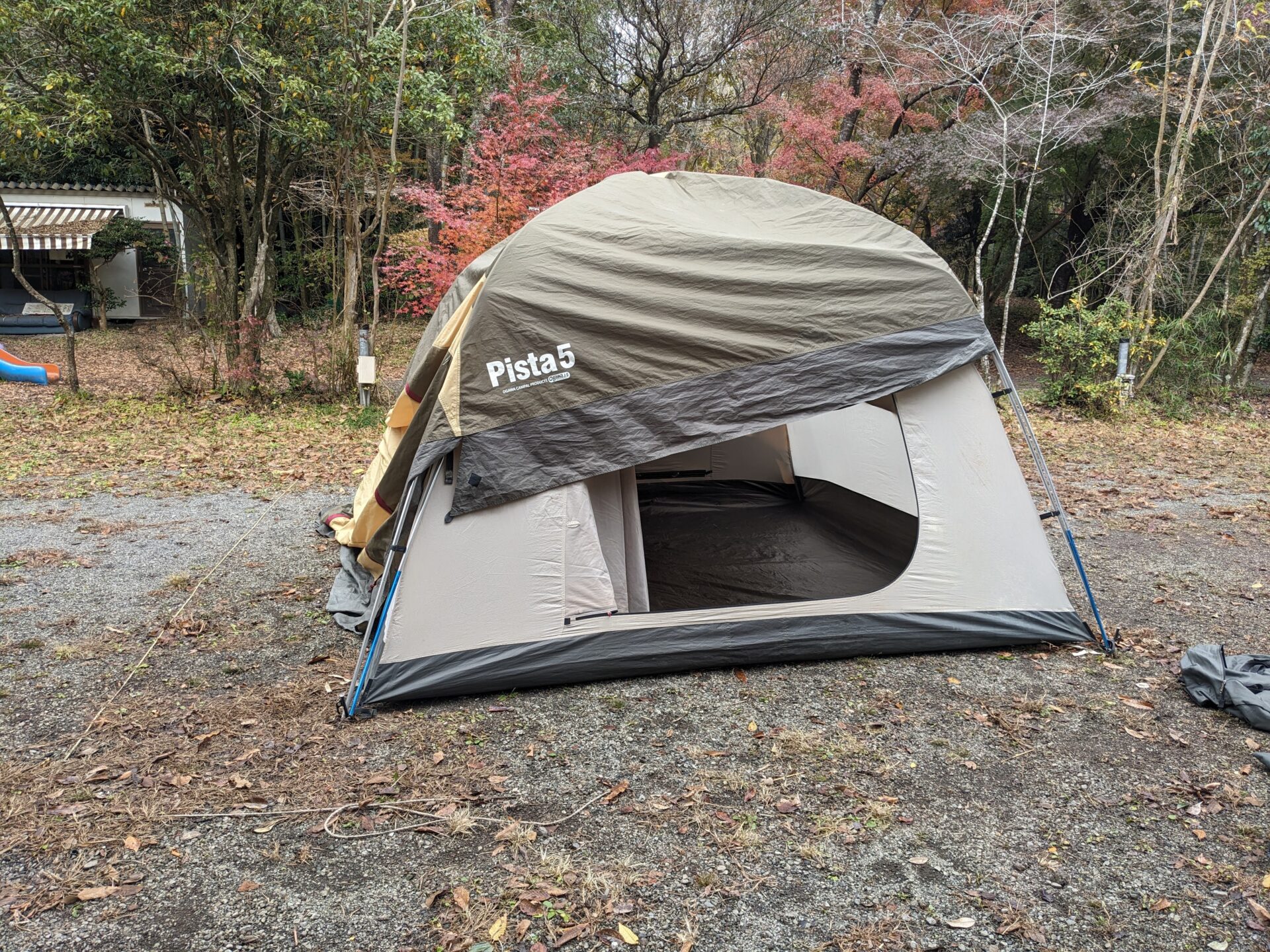 テント 使用レビュー】ogawa(キャンパルジャパン)ピスタ5を使ってみて