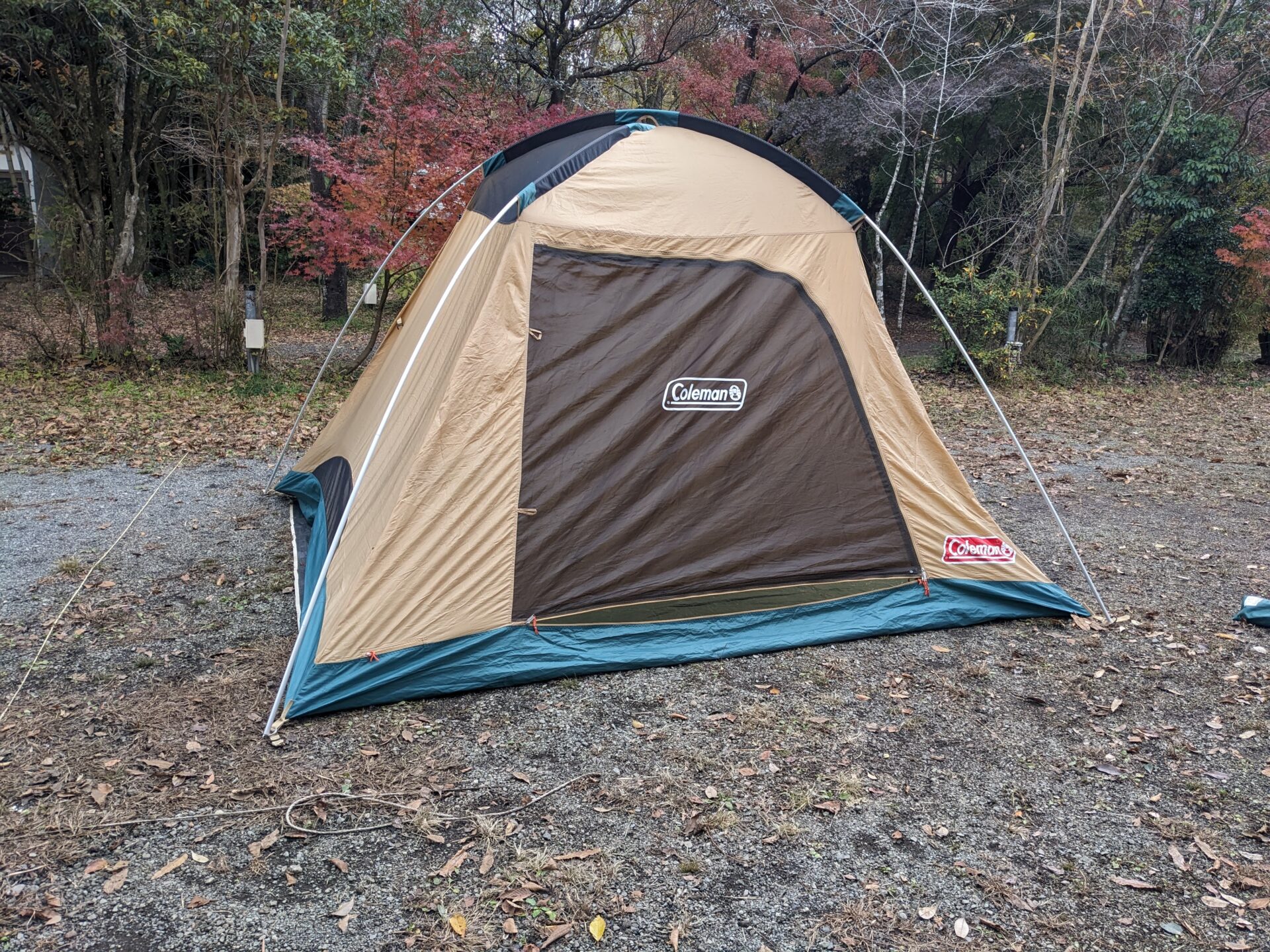 テント 使用レビュー】コールマン タフワイドドーム300で広々