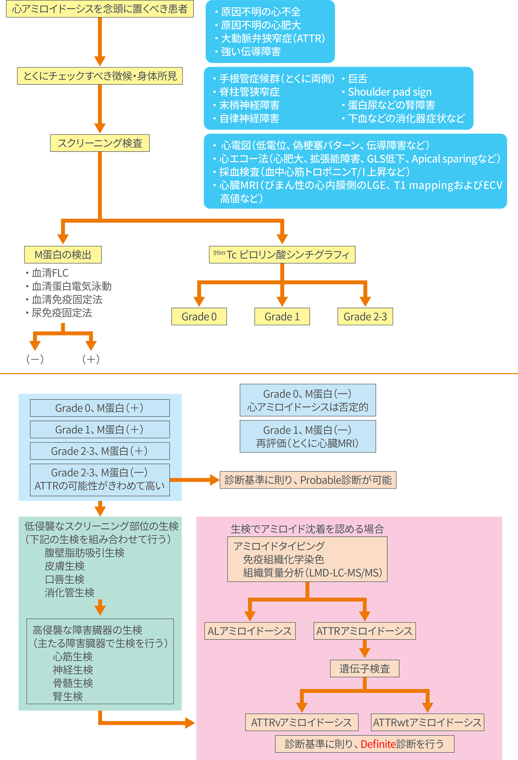 心アミロイドーシスの診療アルゴリズム | 2020年版 心アミロイドーシス