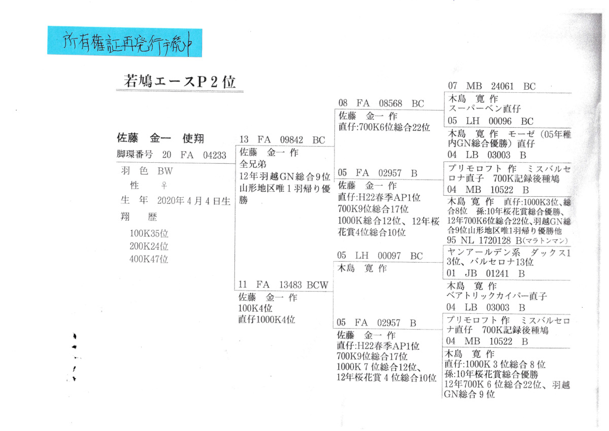 レース鳩モールオークション - 出品鳩♀12番「20FA04233
