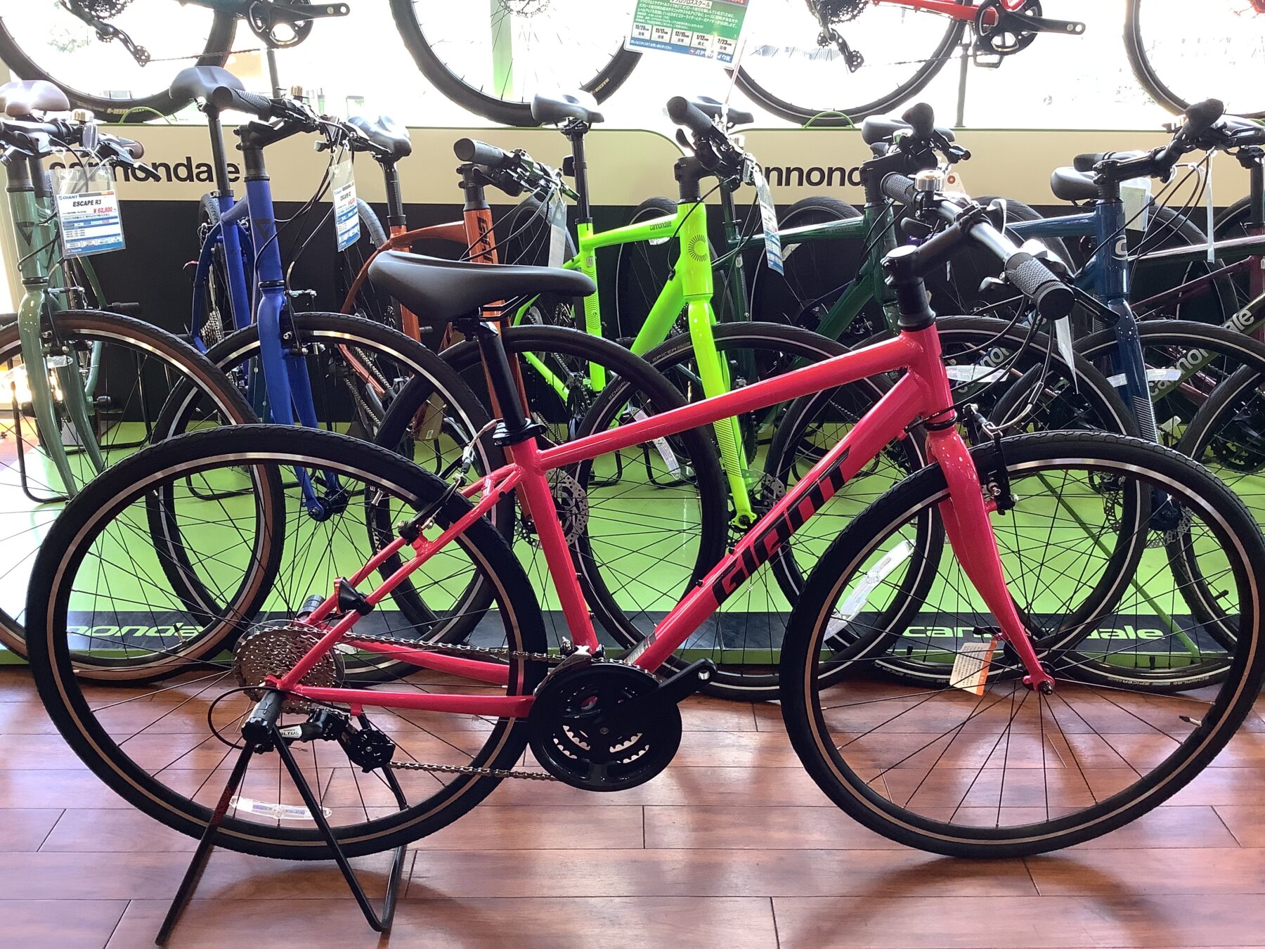 クロスバイク初心者にもオススメな【GIANT ESCAPE R3】の「2025年