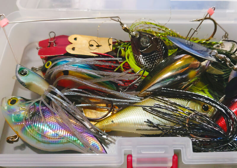 検証】10数年前のバスルアーで 沖縄のルアーフィッシングは楽しめる