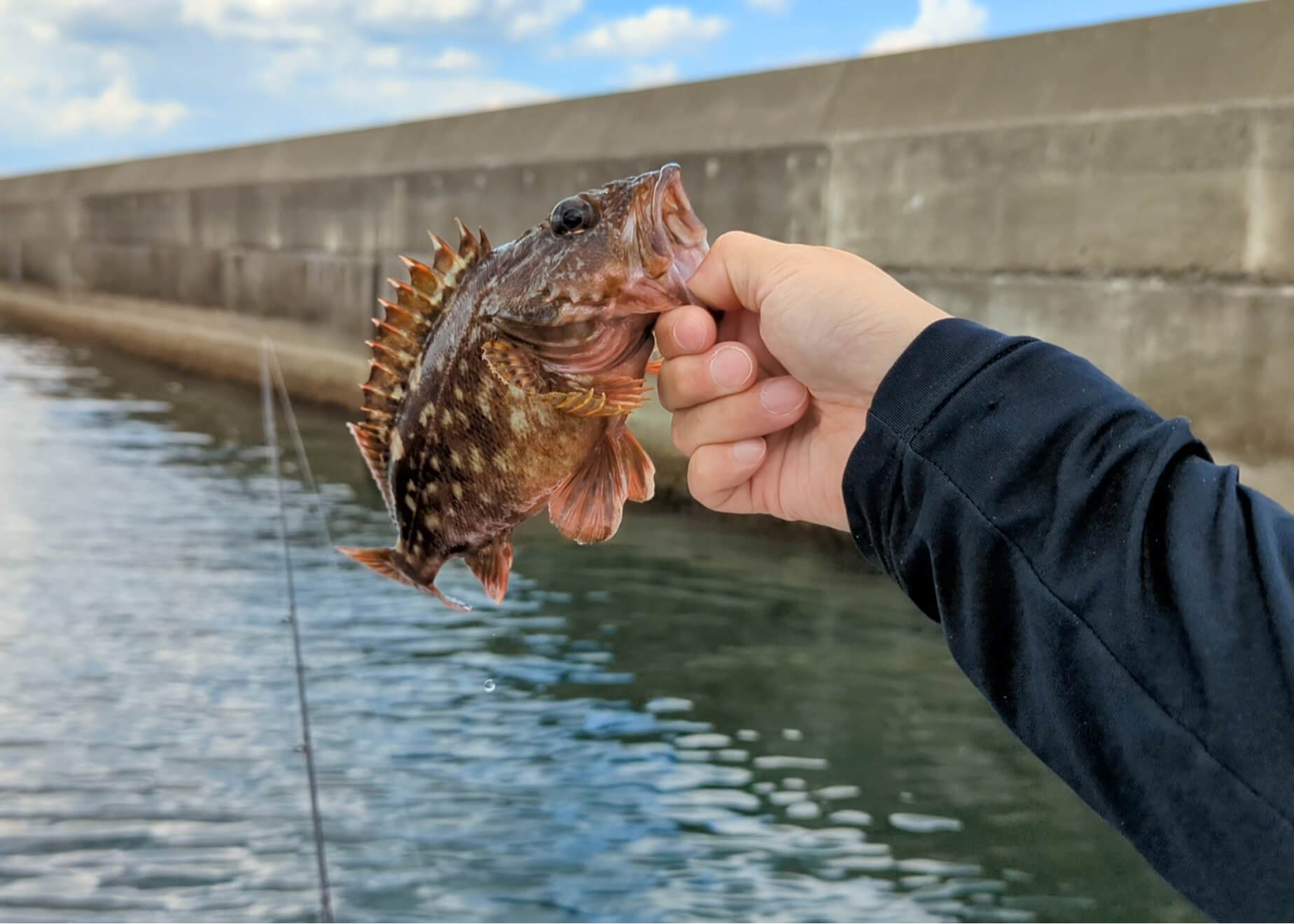 ボートロックはじめてみませんか？ 船からロックフィッシュを釣るため