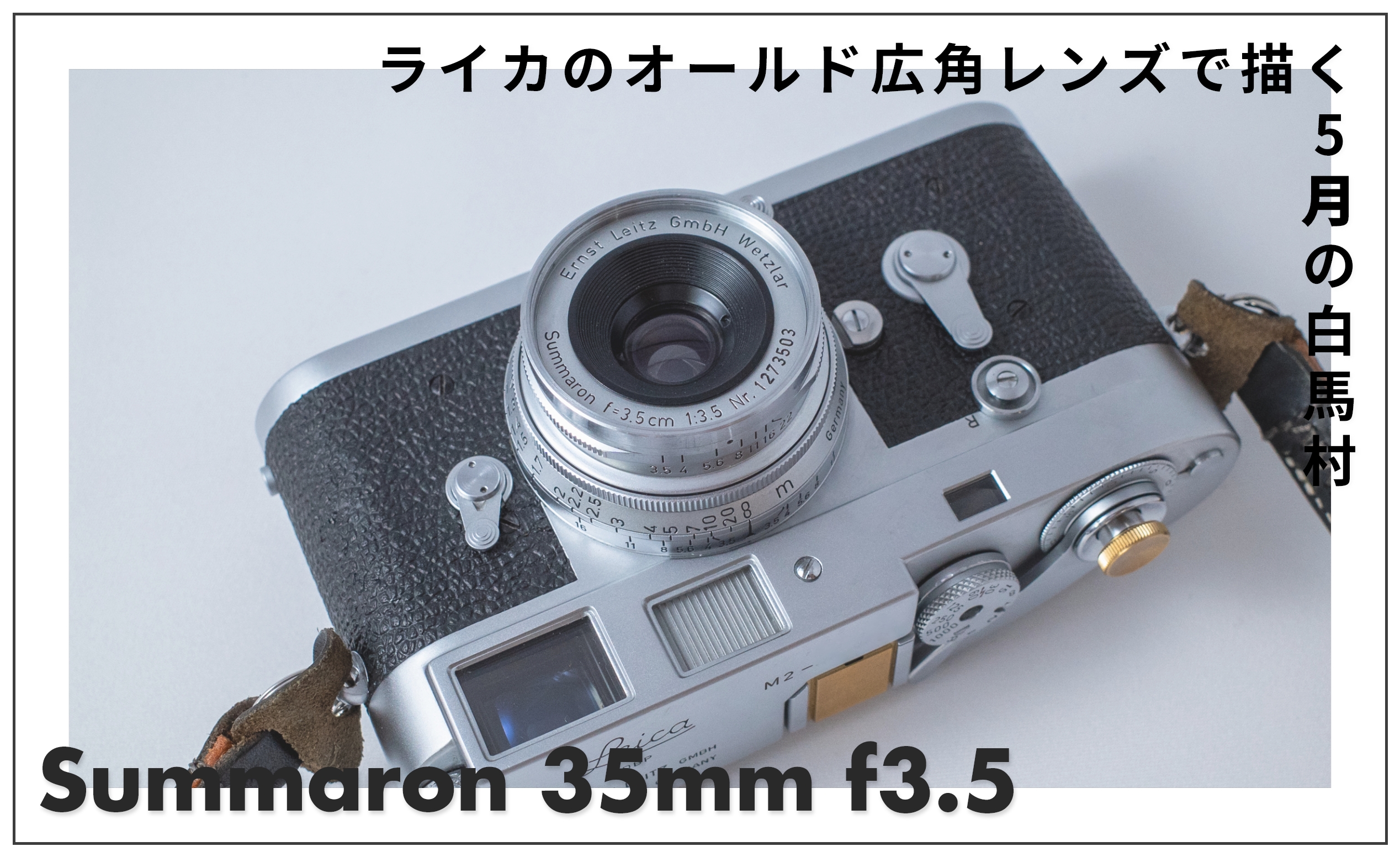 作例あり】ズマロン 35mm f3.5 Mレビュー｜ライカのオールド広角レンズ