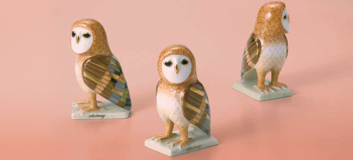 世界のふくろう] オールネーのふくろう