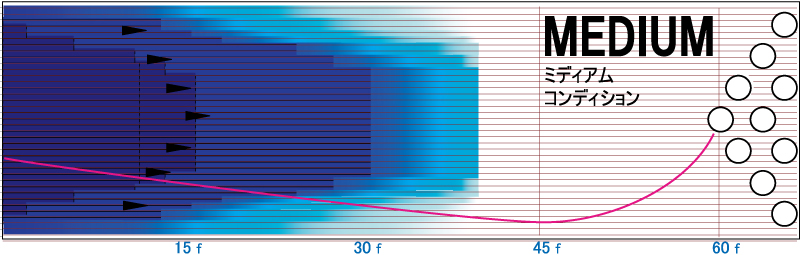 ジェム・ガーネット - ハイスポーツ社 ：信頼のボウリング用品販売