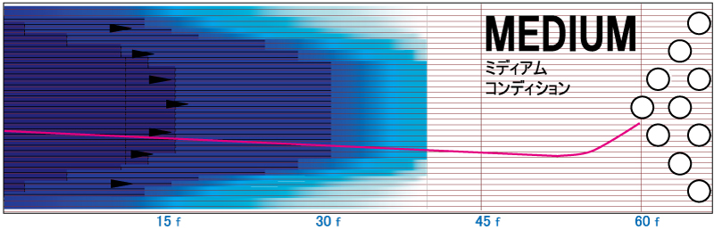 スター・ゲート - ハイスポーツ社 ：信頼のボウリング用品販売