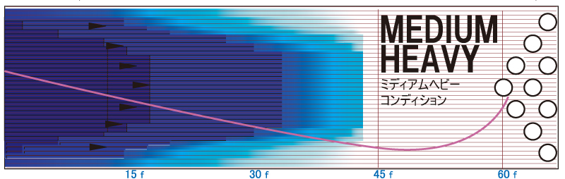PHYSIX MAESTRO - ハイスポーツ社 ：信頼のボウリング用品販売