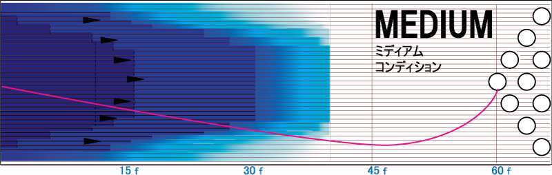 ダーク・フィジックス - ハイスポーツ社 ：信頼のボウリング用品販売