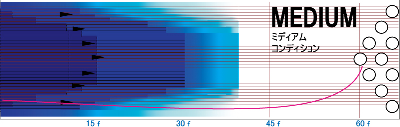 フェイズ・ルビー - ハイスポーツ社 ：信頼のボウリング用品販売