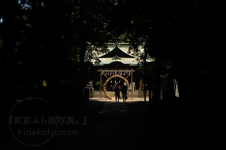 トリオプランの50mm バブルボケを標準画角で手軽に楽しむ！光の違いを