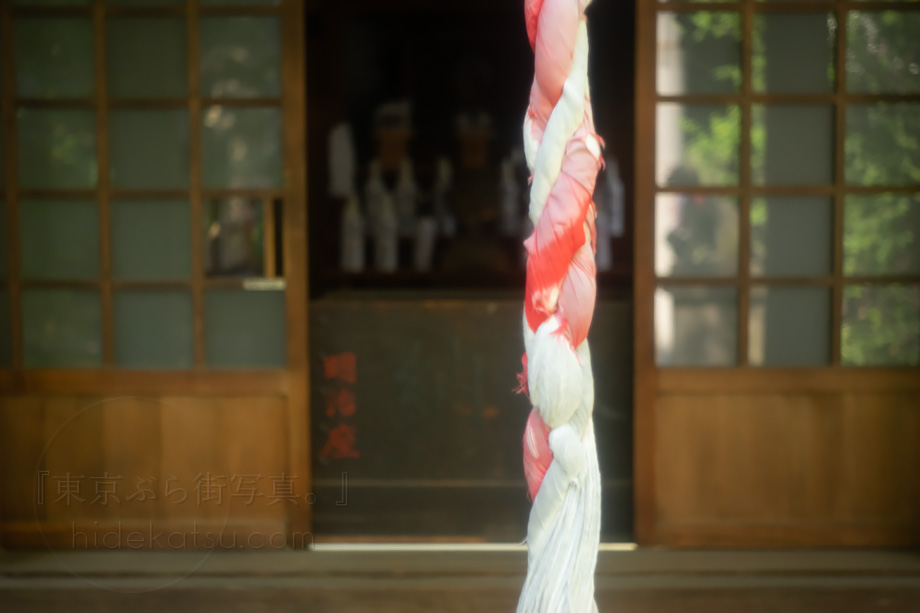 ふわふわの線。万全じゃないレンズ状態だけど味が見えてきた