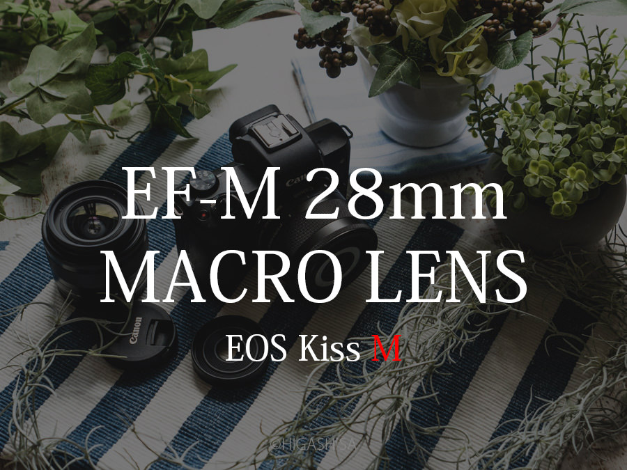 EF-M 28mm F3.5 IS STM マクロレンズで「しずくフォト」を撮ってみた