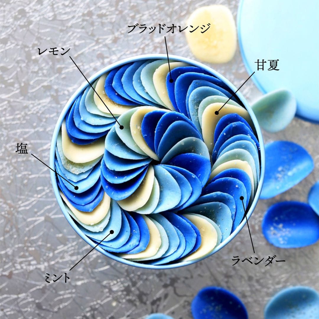 インディゴペタル(レギュラー インディゴ): 愛知東桜デパート｜地域の