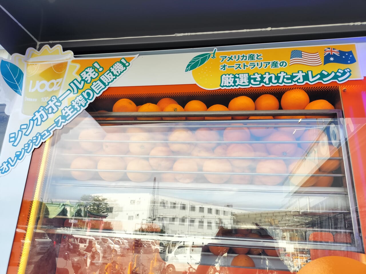 大阪市東淀川区】農薬、砂糖、水を使用しない生搾りオレンジジュースの